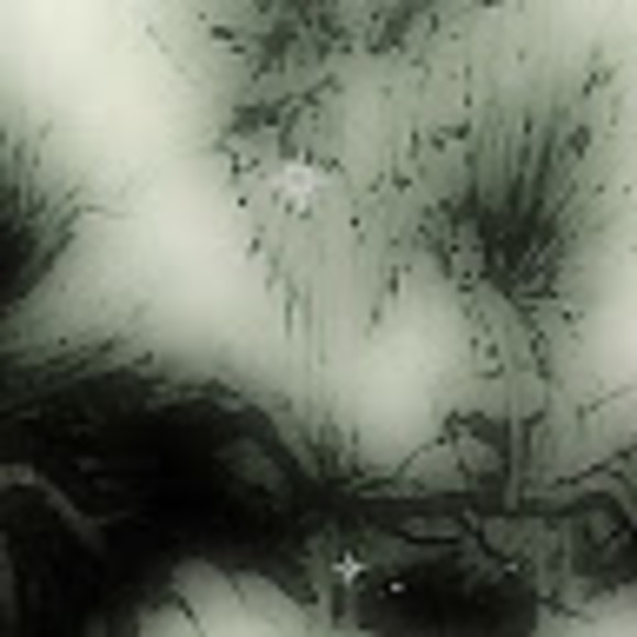 Meet your Posher, Abi - Picture 1 of 1